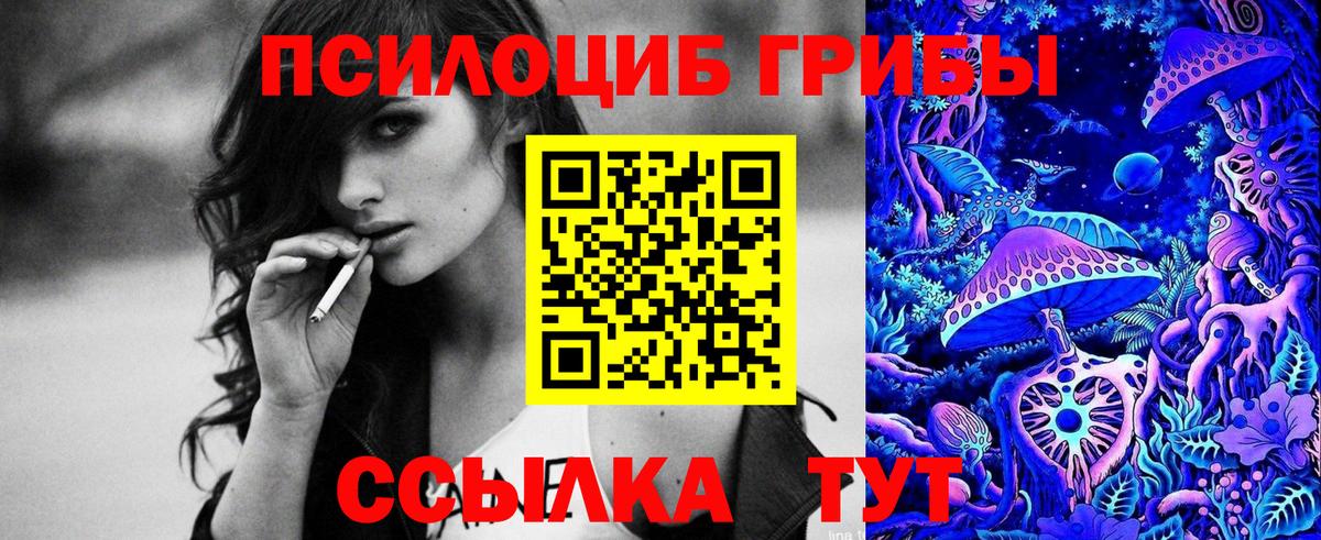 Псилоцибиновые грибы мухоморы Тула