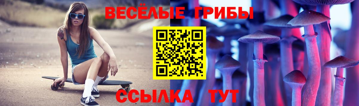 Галлюциногенные грибы Magic Shrooms  Вход с VPN  Тула 